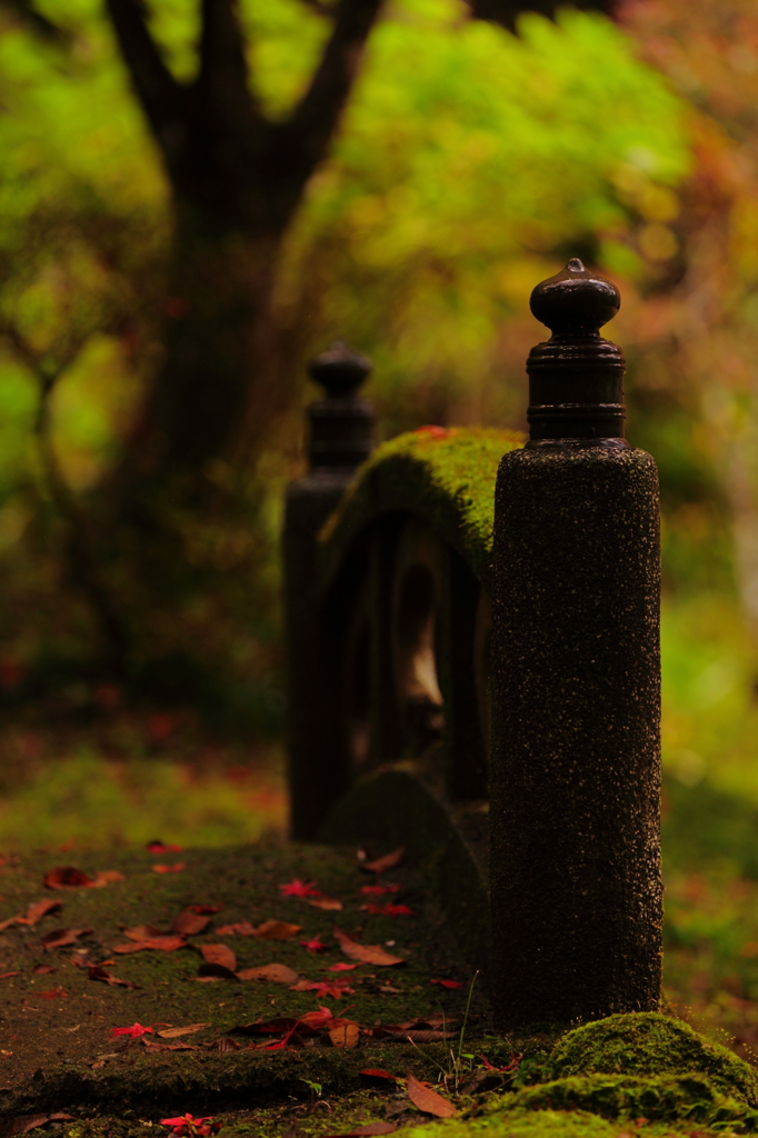 寂しき秋　　三題　　欄干