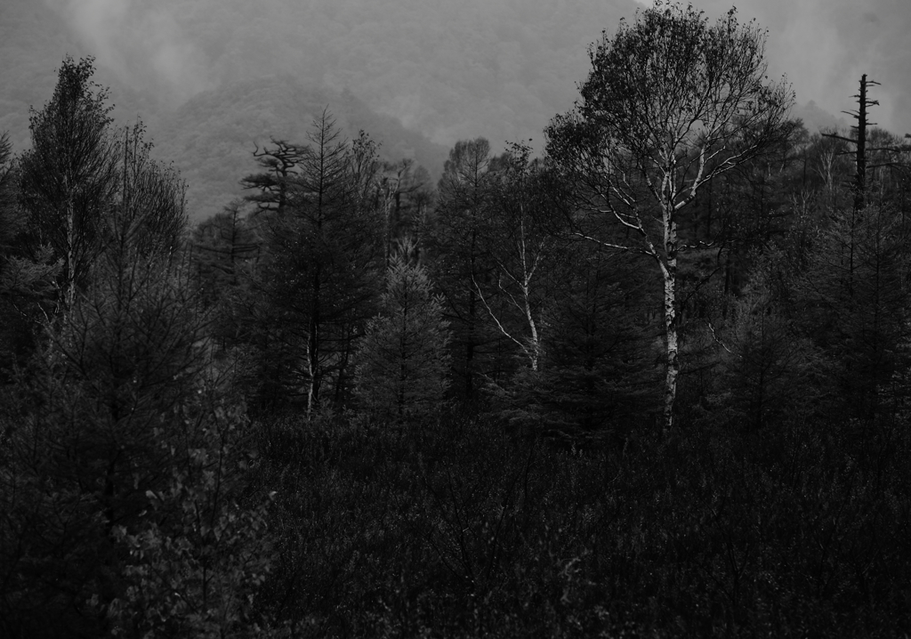 やまのうえ　　　ふゆのあしおとがきこえるころ・・