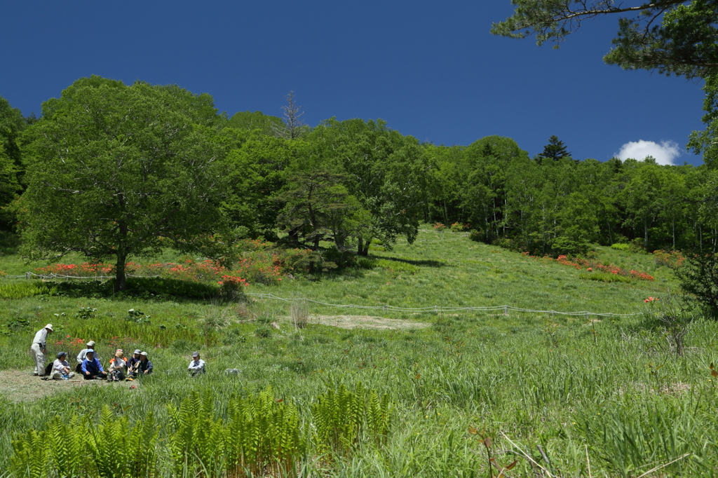 さあっ！もうひと踏ん張りしましょうか。