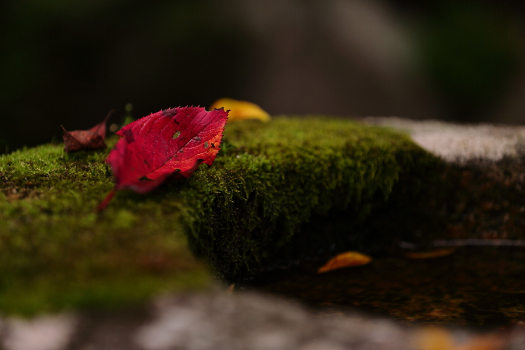 いつもどおり・・・