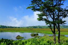 信州の旅路