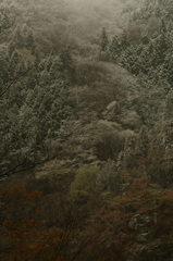 春の迷い　　三題　　其の二