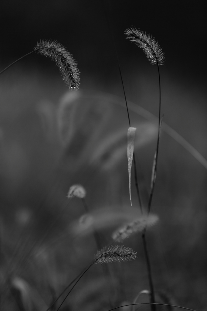 雨に光る　　　　その時・・