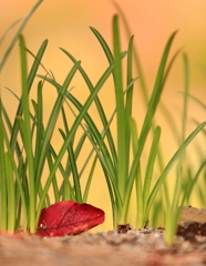 あかるく　　さよならを・・