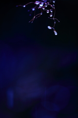 涙　　三題　　　エピローグ　　　