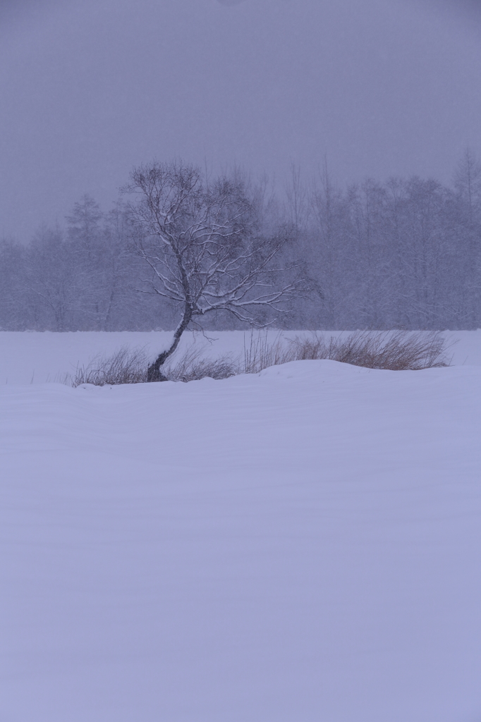 懐かしの昭和歌謡　　　　風雪ながれ旅