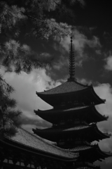 旅の余韻　何題？　　夏空