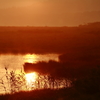 早朝の陽　　三題　　　　　　湿原