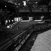 早朝の下賀茂神社