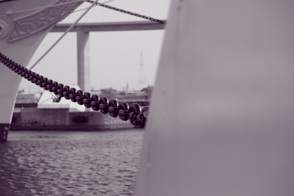 もう離すものか！　　　　ほんとに？