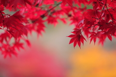 撮っている時は夢中・・