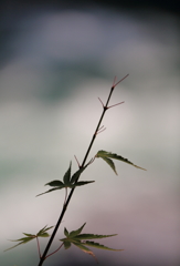 もうすぐ・・