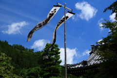 待っていた風・・