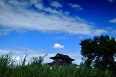 旅の余韻何題？