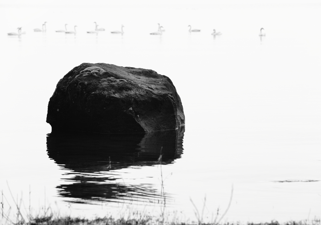 感謝　　　ただただその一言だけでございます・・・