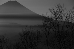 いちよう・・・