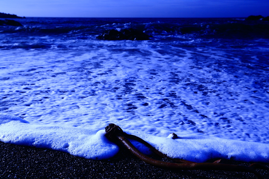 危なかった　　三題　　危険度　　スニーカー・・全治２４時間