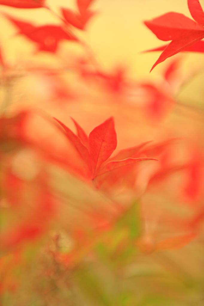 春を待ちわびて・・