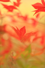 春を待ちわびて・・