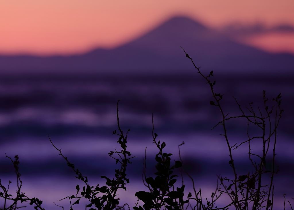 たそがれ富士　三題　　名脇役・・