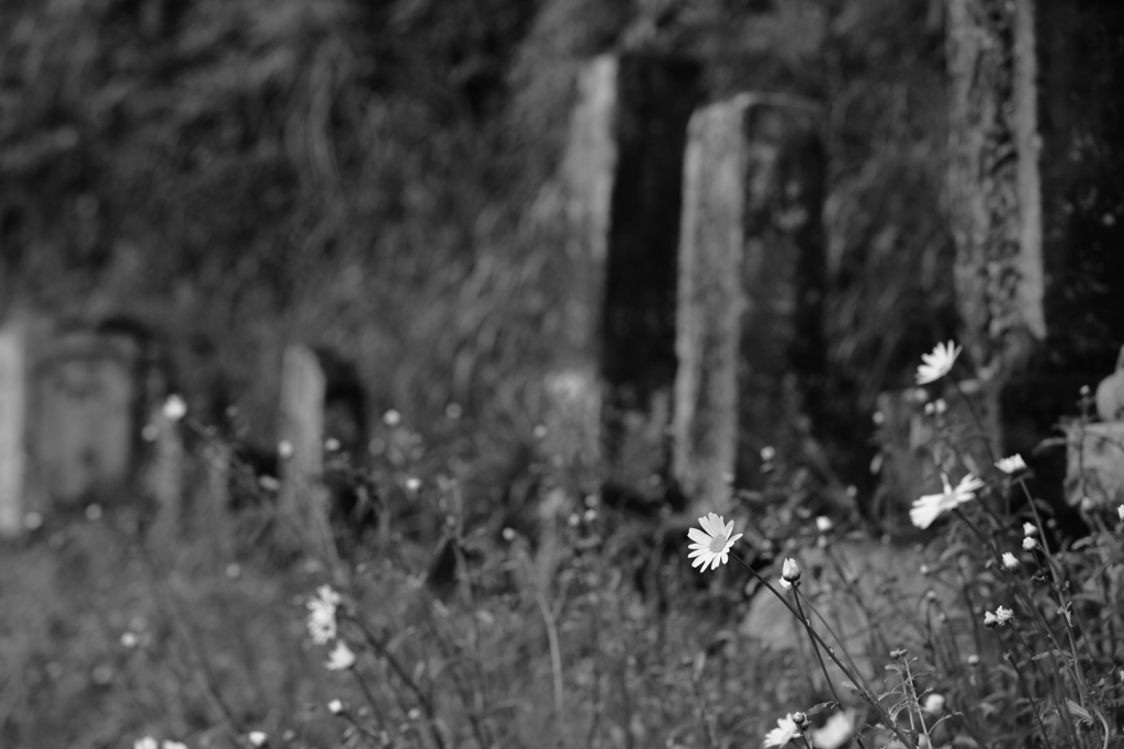 私の　いのち・・・