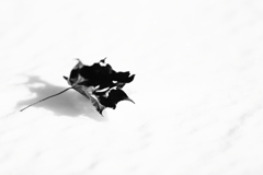 影の世界　　三題　　　其の壱