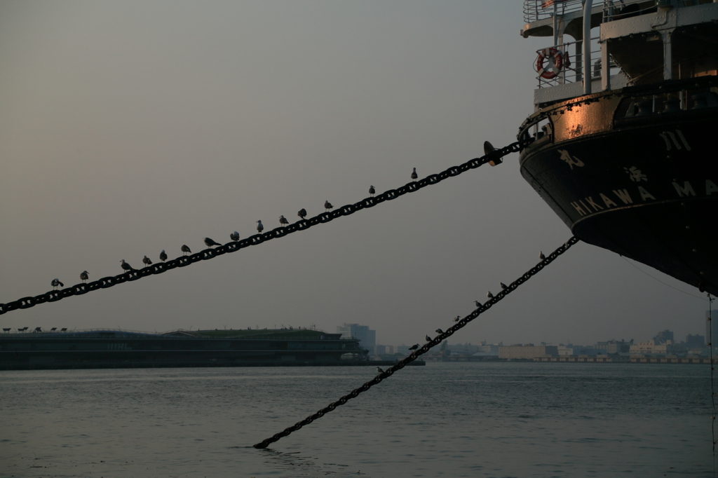 各々方、今宵は伊勢佐木町でござる