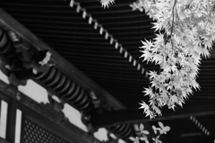 和の趣　　１４
