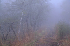 霧の山中　　　三題　　　　彷徨