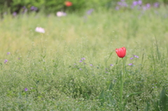 一人でも