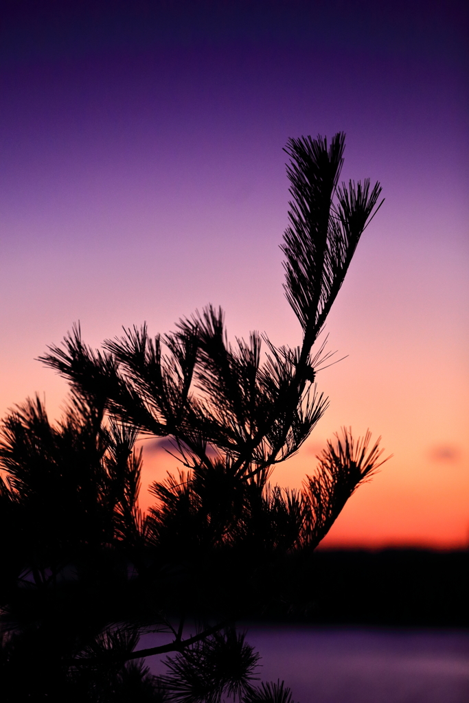 旅の余韻・・何題？