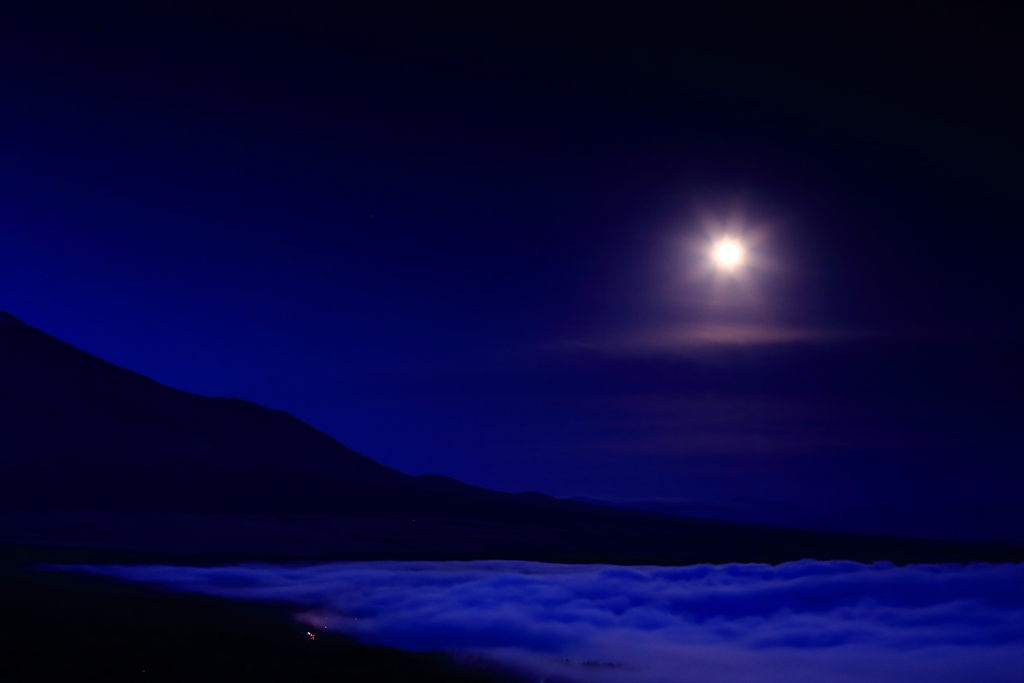 青春のJポップ      Blue moon のように