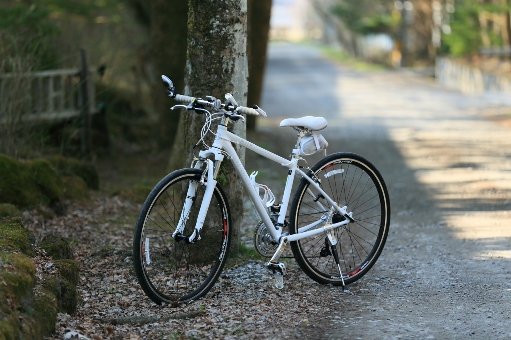 相棒よ、今朝は機嫌が良さそうだな！