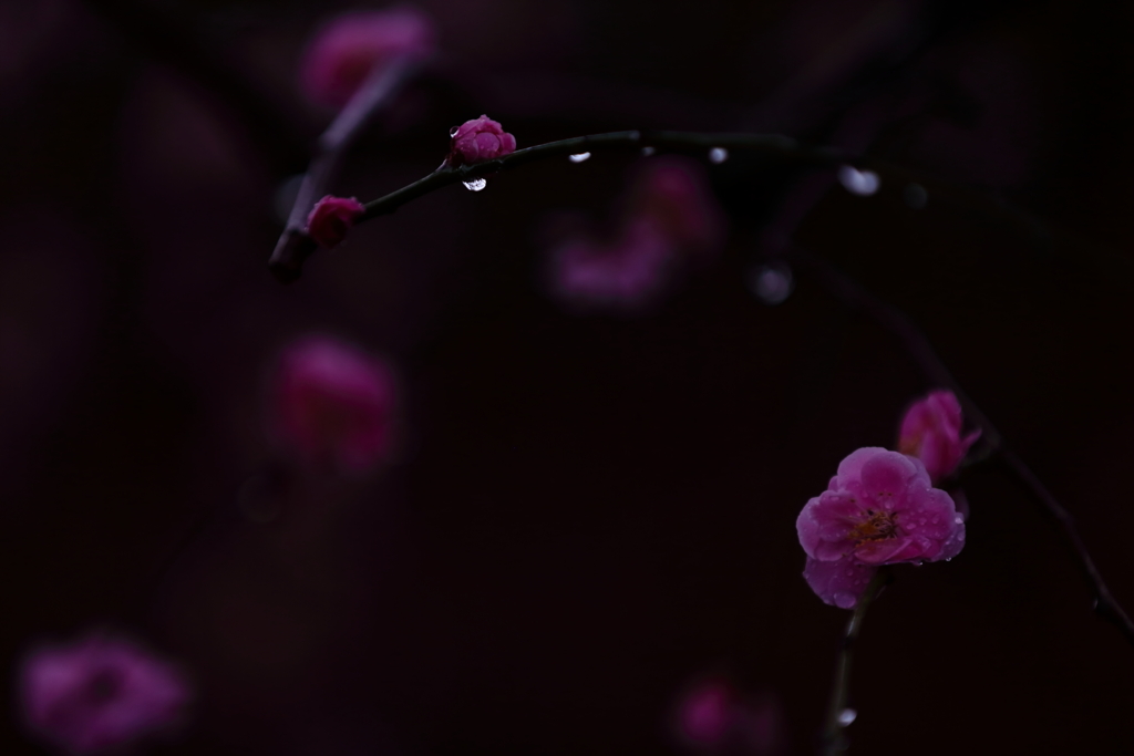 今年・・