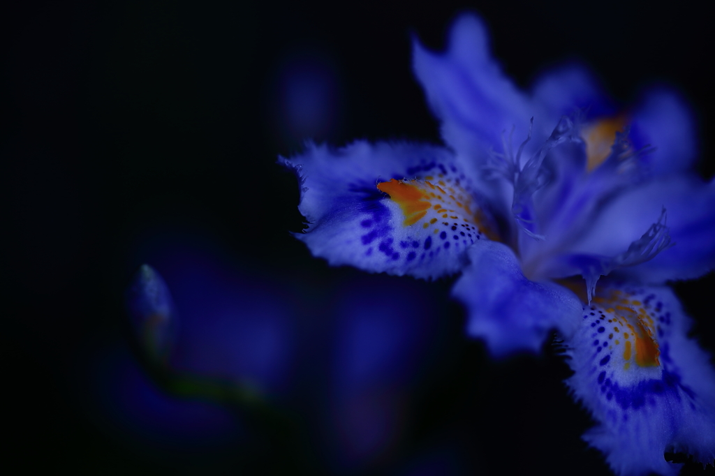 ひっそりと・・　　　三題　　　　　其の壱