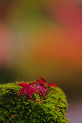 ゆだんはきんもつ・・