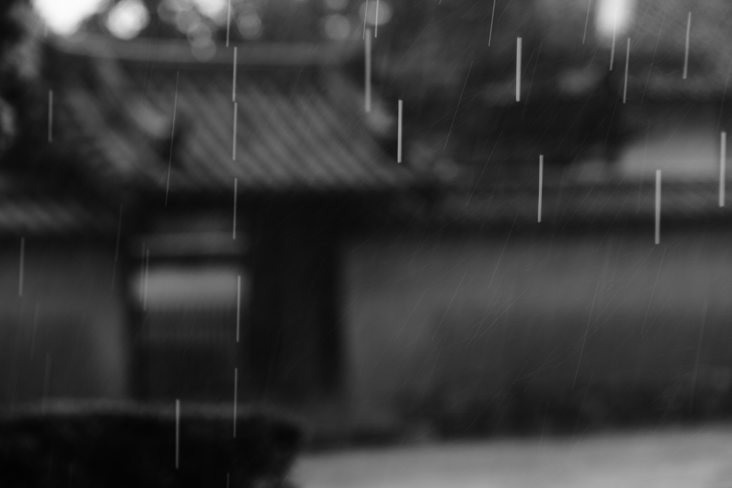 雨の法隆寺　　三題　　　見る見るうちに・・
