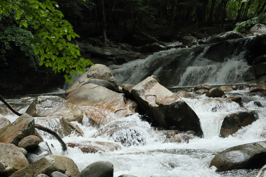 キャンプ釣行　　其の壱
