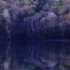 懐かしの昭和歌謡　　　　　湖の決心