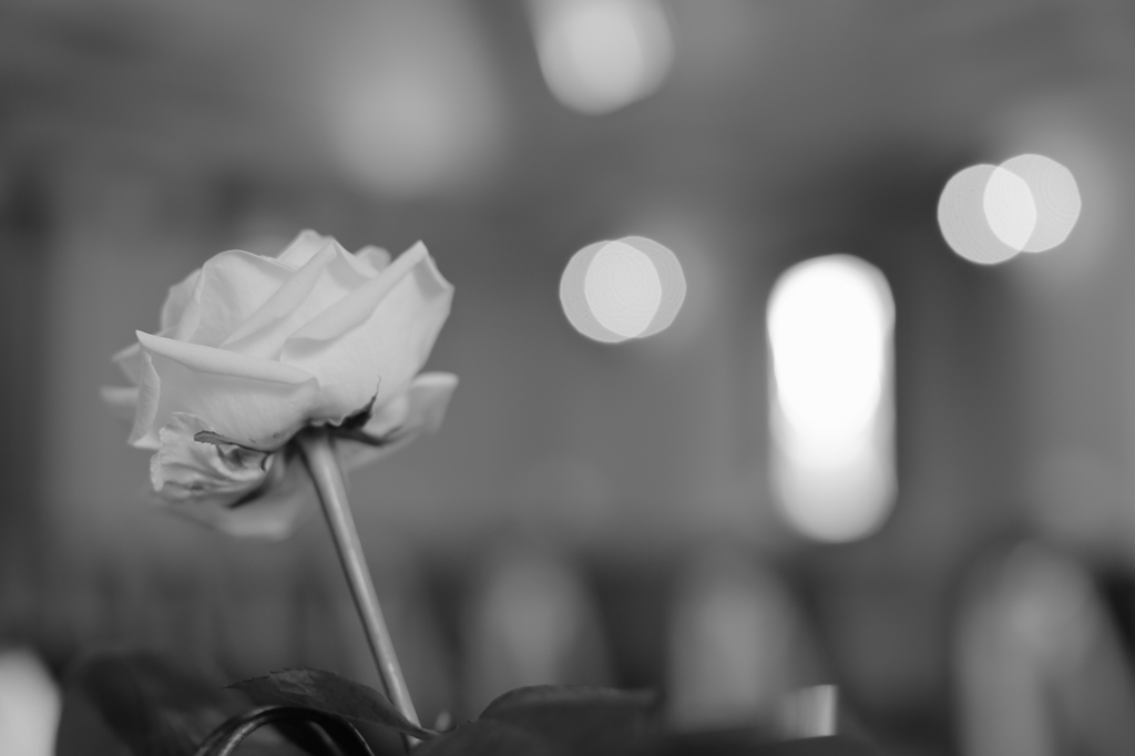 何時か流すであろう・・　　