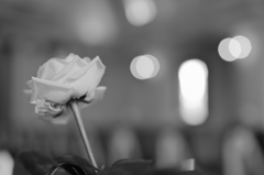 何時か流すであろう・・　　