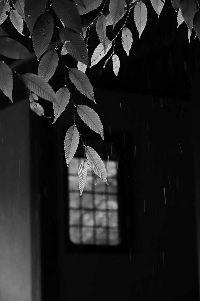 和の趣　　　　１３