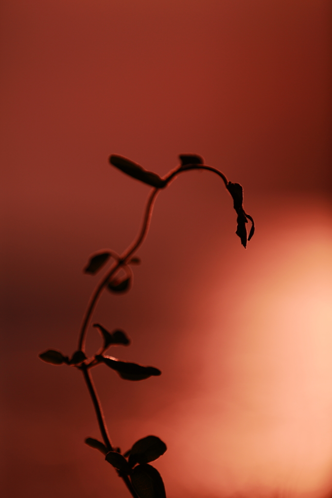 旅の余韻　何題？　　優しい朝・・