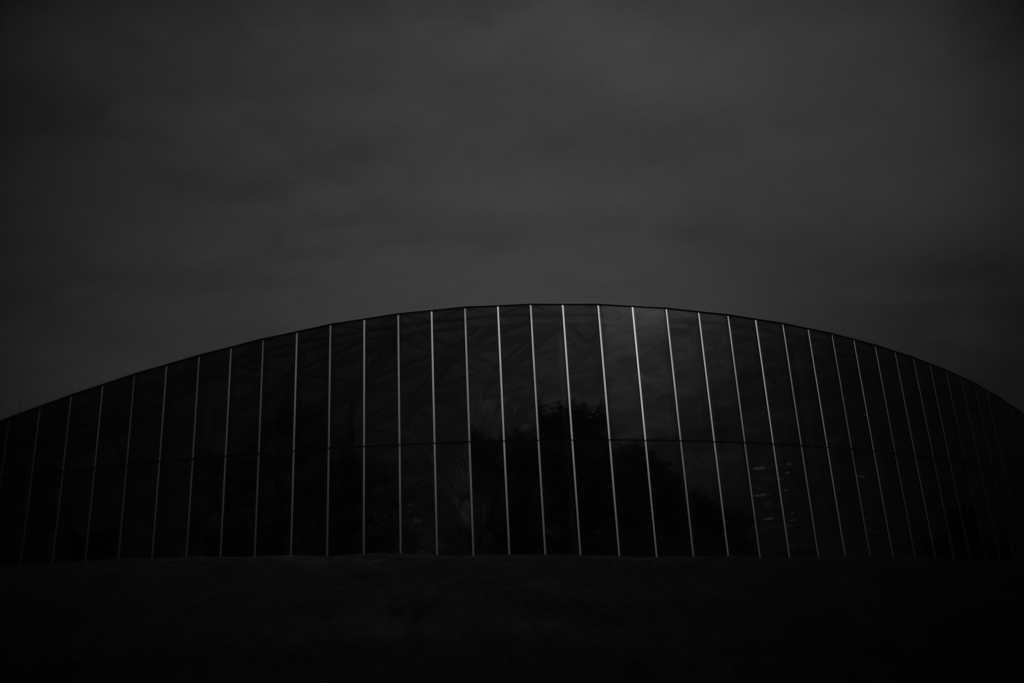 二色の新宿御苑　　三題　　　　機能美・・