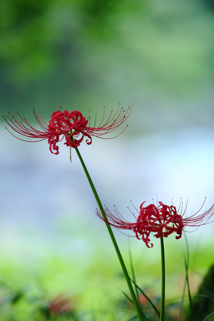 渓谷遊歩道　三題　　しまった・・