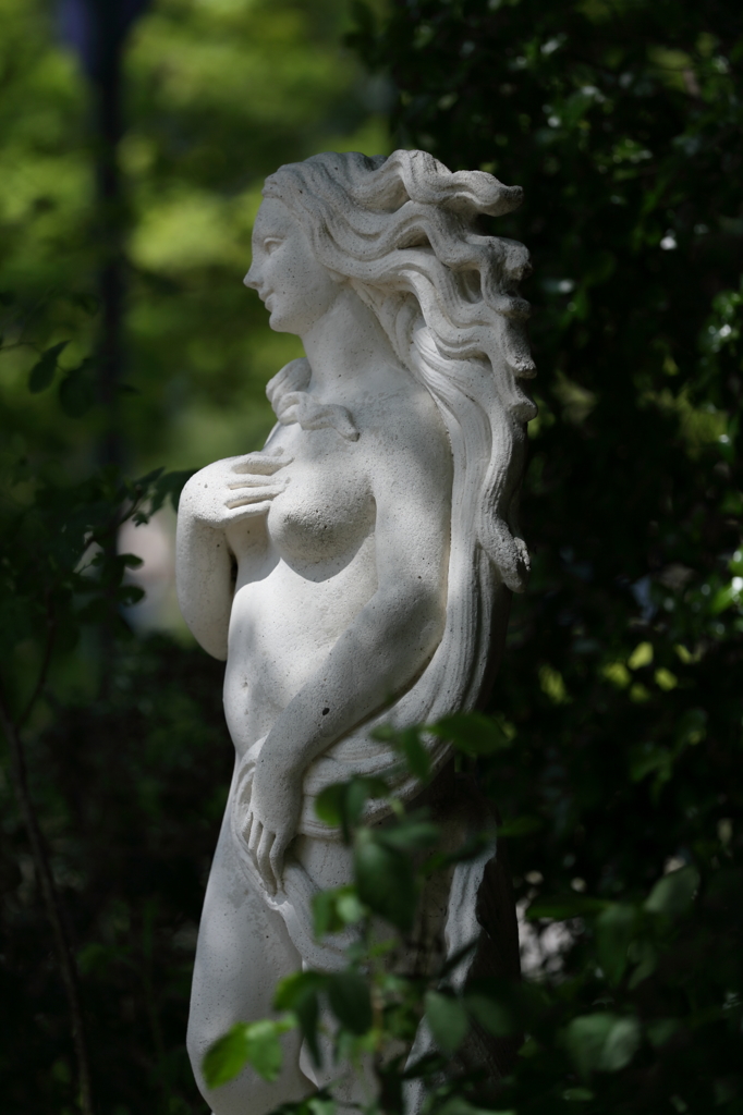 男の視線、　　　賛否両論有りますが。