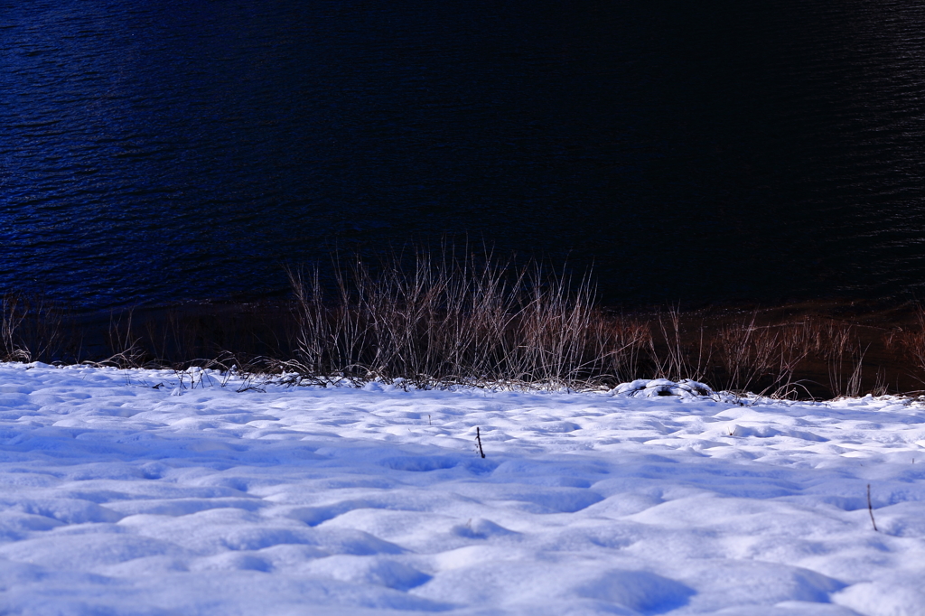 今日、そこに当たる最後の光