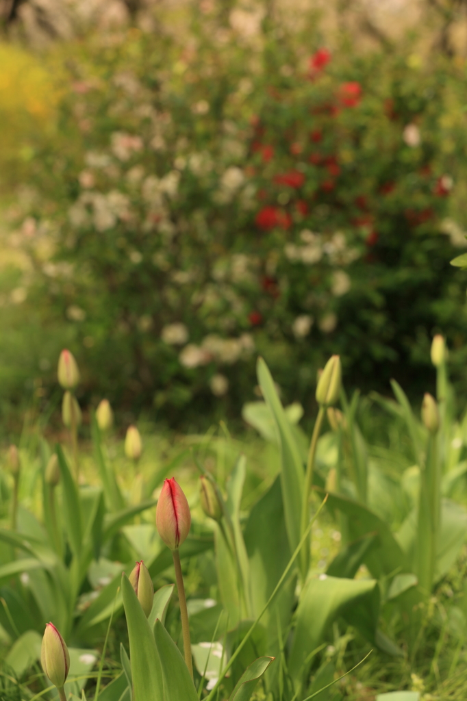 もう少し待ってね。