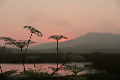 湿原の夜明け・・