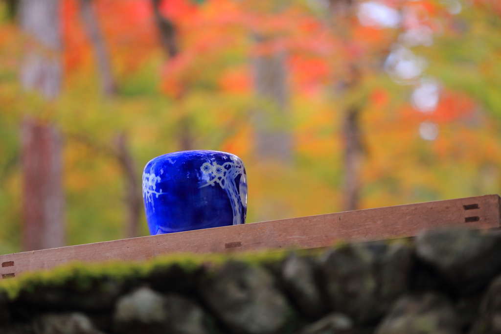 京都　高雄三寺　三題　　神護寺